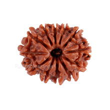 Load image into Gallery viewer, 12 Mukhi Nepalese Rudraksha - Bead No. 90
