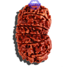Load image into Gallery viewer, 12 Mukhi Nepalese Rudraksha - Bead No. 122
