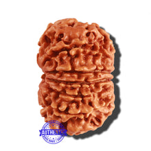 Load image into Gallery viewer, 12 Mukhi Nepalese Rudraksha - Bead No 186