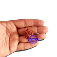 Load image into Gallery viewer, 12 Mukhi Nepalese Rudraksha - Bead No 258