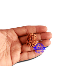 Load image into Gallery viewer, 12 Mukhi Nepalese Rudraksha - Bead No. 265