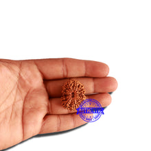 Load image into Gallery viewer, 12 Mukhi Nepalese Rudraksha - Bead No. 266