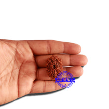 Load image into Gallery viewer, 12 Mukhi Nepalese Rudraksha - Bead No. 267