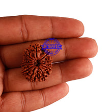 Load image into Gallery viewer, 12 Mukhi Nepalese Rudraksha - Bead No 49