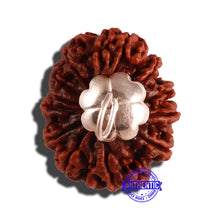 Load image into Gallery viewer, 12 Mukhi Nepalese Rudraksha - Bead No. 94