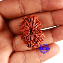 Load image into Gallery viewer, 12 Mukhi Nepalese Rudraksha - Bead No 333