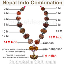 Load image into Gallery viewer, Rudraksha SidhShakti Mala Nepal Indonesia Combo - Std size - 1