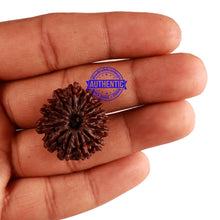 Load image into Gallery viewer, 14 Mukhi Nepalese Rudraksha - Bead No. 265