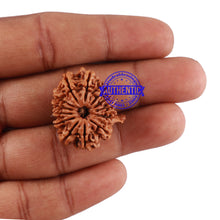 Load image into Gallery viewer, 13 Mukhi Nepalese Ganesha Rudraksha - Bead No. 164