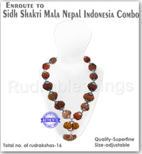 Load image into Gallery viewer, Rudraksha SidhShakti Mala Nepal Indonesia Combo - Std size - 1