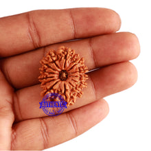 Load image into Gallery viewer, 13 Mukhi Nepalese Rudraksha - Bead No. 232