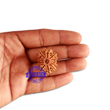 Load image into Gallery viewer, 13 Mukhi Nepalese Rudraksha - Bead No. 270