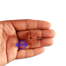Load image into Gallery viewer, 13 Mukhi Nepalese Rudraksha - Bead No. 275