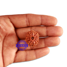 Load image into Gallery viewer, 13 Mukhi Nepalese Rudraksha - Bead No. 278