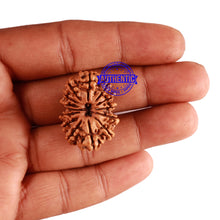 Load image into Gallery viewer, 14 Mukhi Nepalese Rudraksha - Bead No. 246