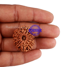 Load image into Gallery viewer, 14 Mukhi Nepalese Rudraksha - Bead No. 215