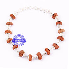 Load image into Gallery viewer, 14 Mukhi Indonesian Rudraksha Bracelet (Pure Silver)