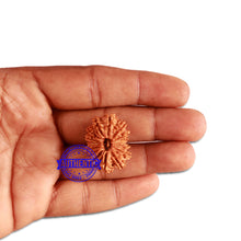 Load image into Gallery viewer, 14 Mukhi Nepalese Rudraksha - Bead No. 269