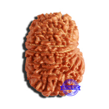 Load image into Gallery viewer, 14 Mukhi Nepalese Rudraksha - Bead No. 294