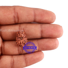 Load image into Gallery viewer, 15 Mukhi Indonesian Rudraksha - Bead No. 72