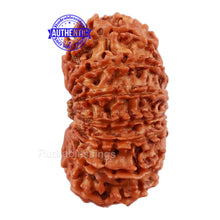 Load image into Gallery viewer, 16 Mukhi Rudraksha from Nepal - Bead No. 63