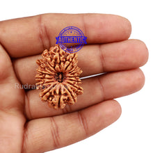 Load image into Gallery viewer, 16 Mukhi Rudraksha from Nepal - Bead No. 50