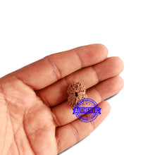 Load image into Gallery viewer, 16 Mukhi Rudraksha from Indonesia - Bead No. 220