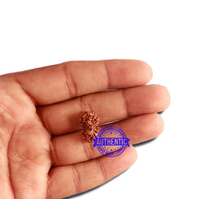 Load image into Gallery viewer, 16 Mukhi Rudraksha from Indonesia - Bead No. 224