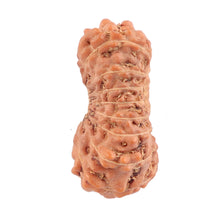 Load image into Gallery viewer, 17 Mukhi Rudraksha from Indonesia - Bead No. 115