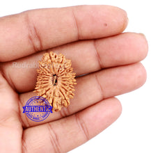 Load image into Gallery viewer, 17 Mukhi Nepalese Rudraksha - Bead No. 39