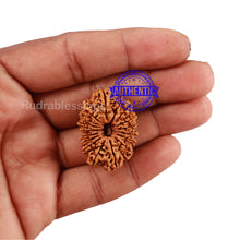 Load image into Gallery viewer, 17 Mukhi Nepalese Rudraksha - Bead No. 43