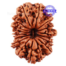 Load image into Gallery viewer, 17 Mukhi Nepalese Rudraksha - Bead No. 44