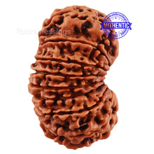 Load image into Gallery viewer, 17 Mukhi Nepalese Rudraksha - Bead No. 44
