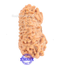 Load image into Gallery viewer, 18 Mukhi Rudraksha from Indonesia - Bead No. 148