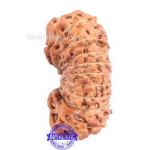 Load image into Gallery viewer, 18 Mukhi Rudraksha from Indonesia - Bead No. 149