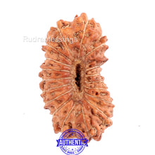 Load image into Gallery viewer, 18 Mukhi Rudraksha from Indonesia - Bead No. 149