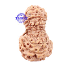 Load image into Gallery viewer, 18 Mukhi Rudraksha from Indonesia - Bead No. 152