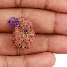 Load image into Gallery viewer, 18 Mukhi Rudraksha from Indonesia - Bead No. 153