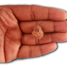 Load image into Gallery viewer, 18 Mukhi Rudraksha from Indonesia - Bead No. 187
