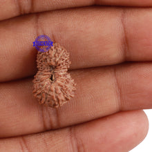 Load image into Gallery viewer, 18 Mukhi Rudraksha from Indonesia - Bead No. 158