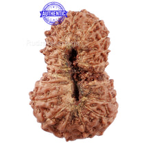 Load image into Gallery viewer, 18 Mukhi Rudraksha from Indonesia - Bead No. 158