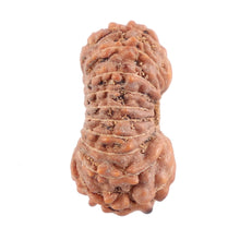 Load image into Gallery viewer, 18 Mukhi Rudraksha from Indonesia - Bead No. 119