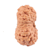 Load image into Gallery viewer, 18 Mukhi Rudraksha from Indonesia - Bead No. 120