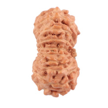 Load image into Gallery viewer, 18 Mukhi Rudraksha from Indonesia - Bead No. 121