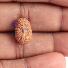 Load image into Gallery viewer, 18 Mukhi Rudraksha from Indonesia - Bead No. 131