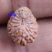 Load image into Gallery viewer, 18 Mukhi Rudraksha from Indonesia - Bead No 137