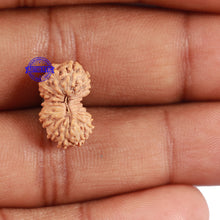 Load image into Gallery viewer, 18 Mukhi Rudraksha from Indonesia - Bead No. 70