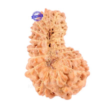Load image into Gallery viewer, 18 Mukhi Rudraksha from Indonesia - Bead No. 135