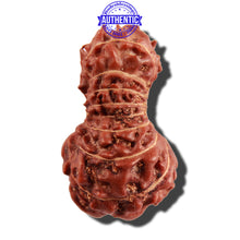 Load image into Gallery viewer, 18 Mukhi Rudraksha from Indonesia - Bead No. 171
