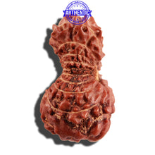 Load image into Gallery viewer, 18 Mukhi Rudraksha from Indonesia - Bead No. 171
